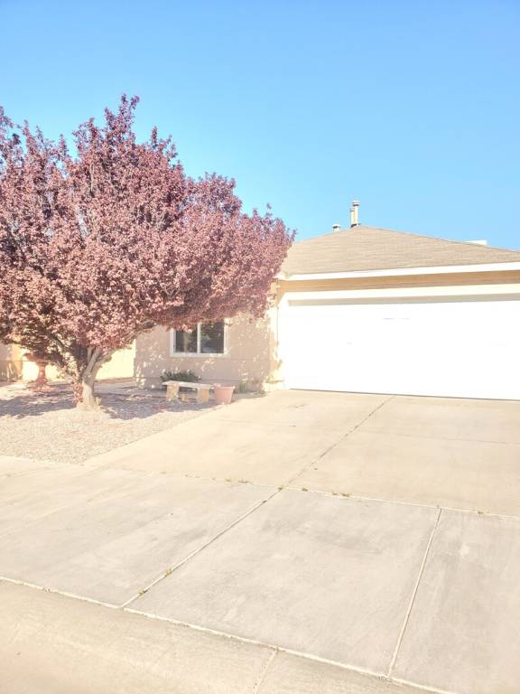 House with garden — photo 3