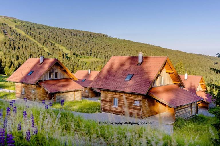 Nice vacation home with terrace, yard & sauna | Close to the ski | Pets allowed — photo 4
