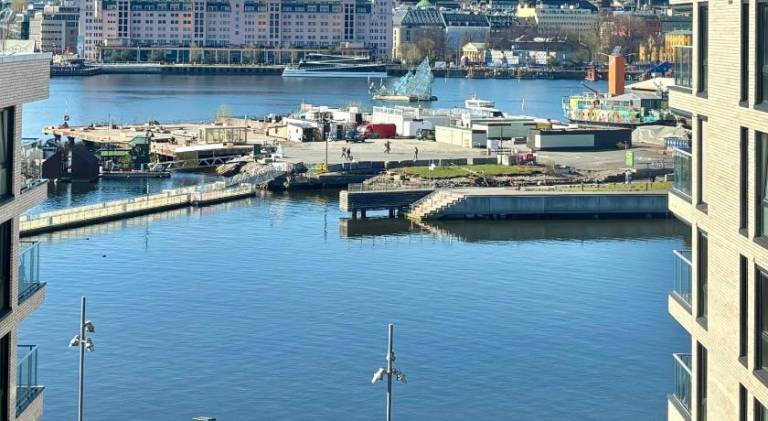 Beautiful holiday apartment | Near Oslo Opera House | Dogs allowed in Oslo