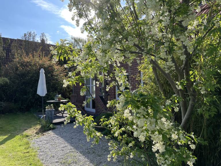 Ferienhaus Westerstede