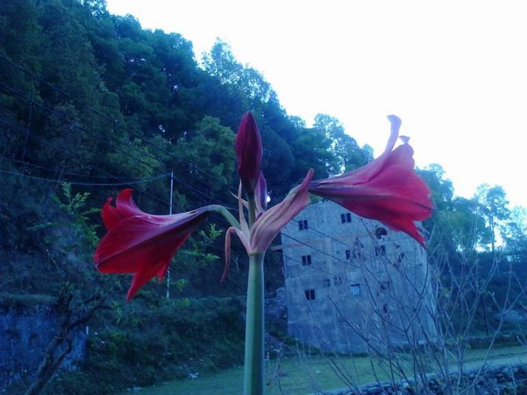 foto11