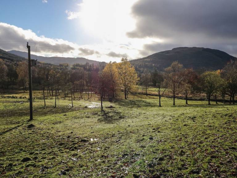 Cottage Strathyre