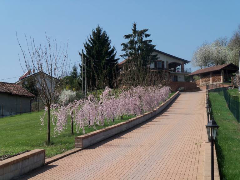 foto11