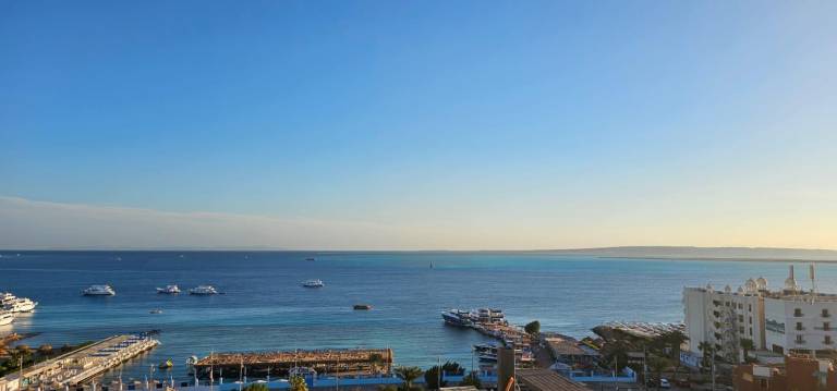 Pleasant holiday apartment with barbeque | Close to the beach | Good for workation | Pets are welcome — photo 3
