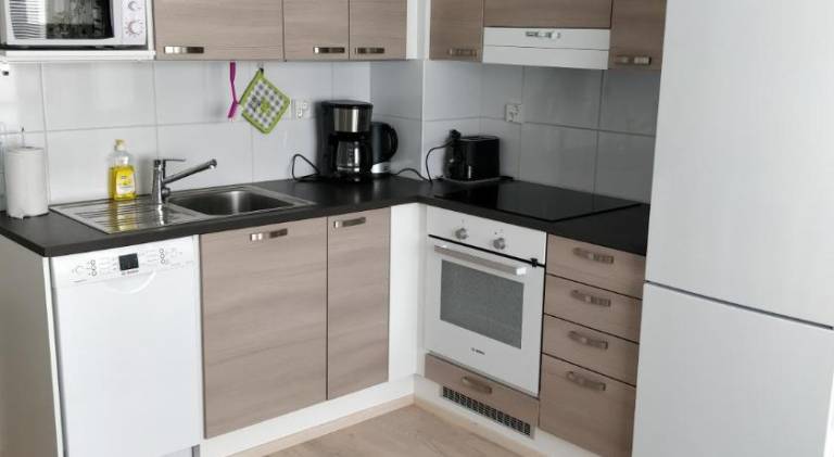 Apartment | Near Arktikum Science Museum | Dogs allowed — photo 4