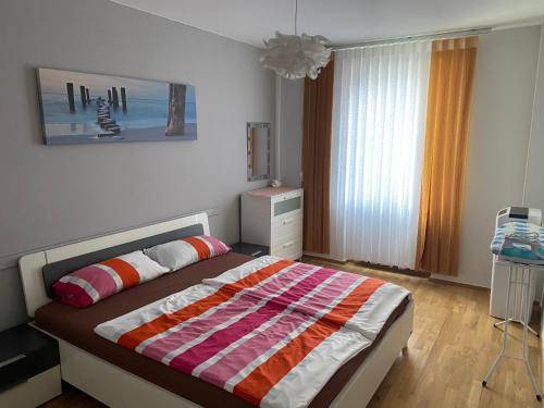 foto11