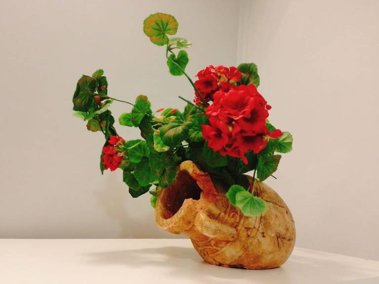 foto43