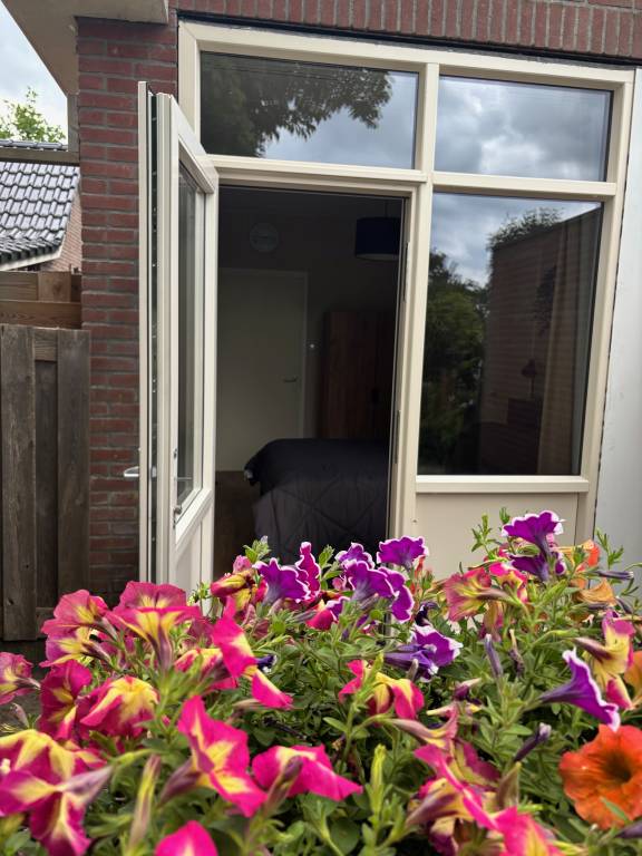 foto28