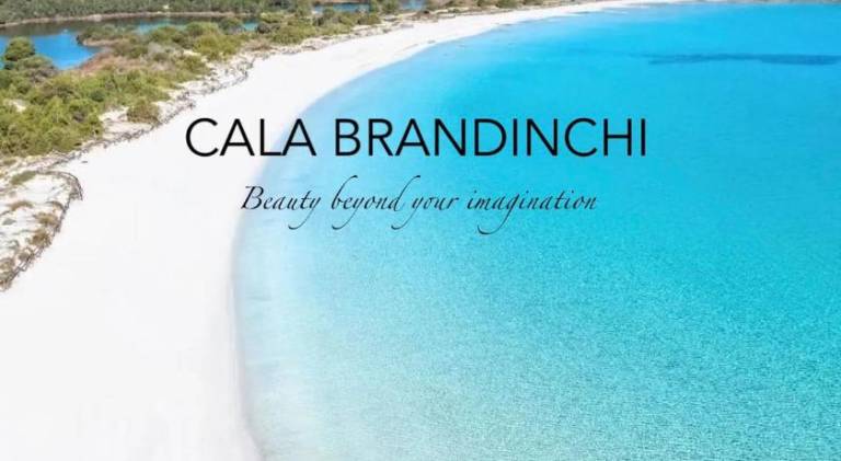 Charming vacation home | Close to the beach | Pets are welcome — photo 5