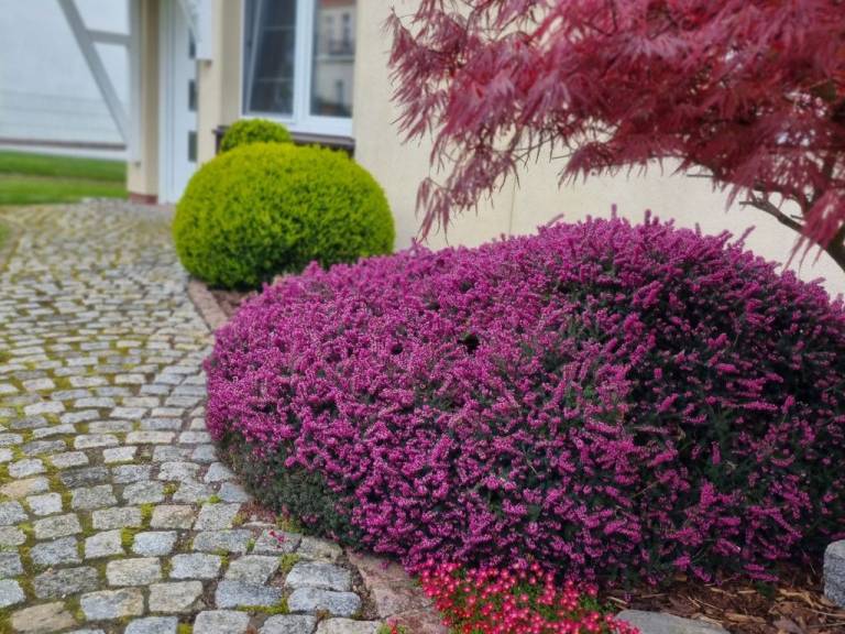 foto15