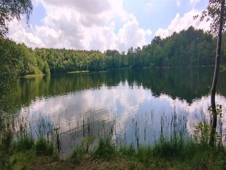foto49