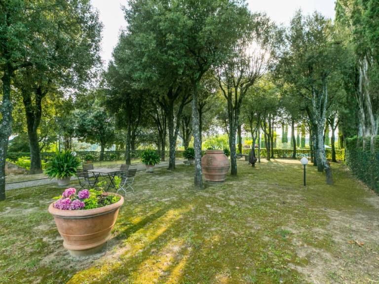 foto28