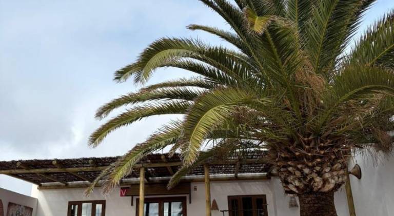 Casa Gaelys house with sea view Playa Blanca — photo 5