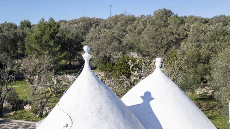 Intimate trullo with little pool and garden — photo 4