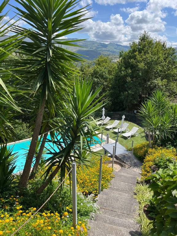 foto42