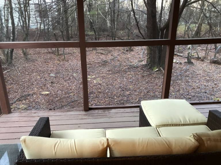 Cabin Pocono Pines
