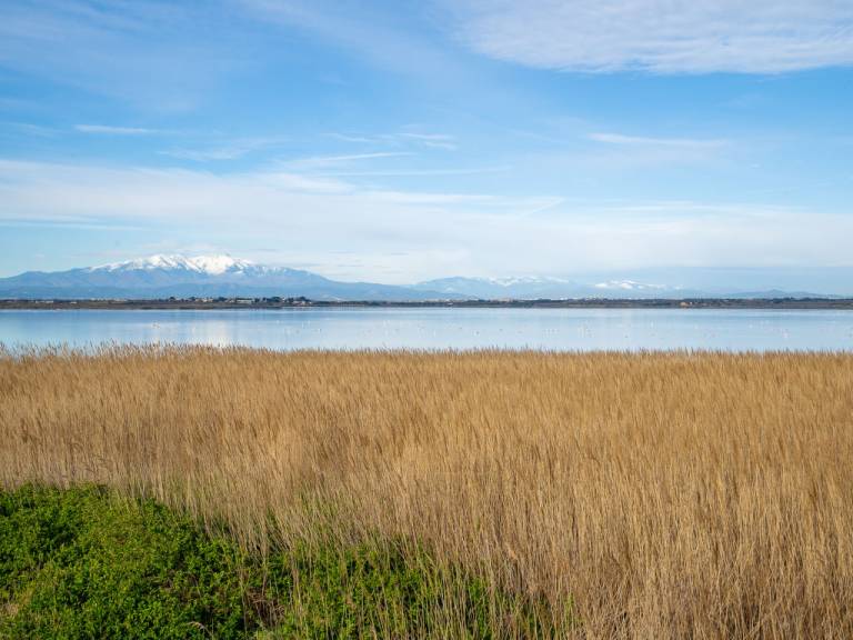 Appartement Canet-en-Roussillon