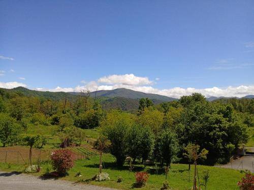 foto12
