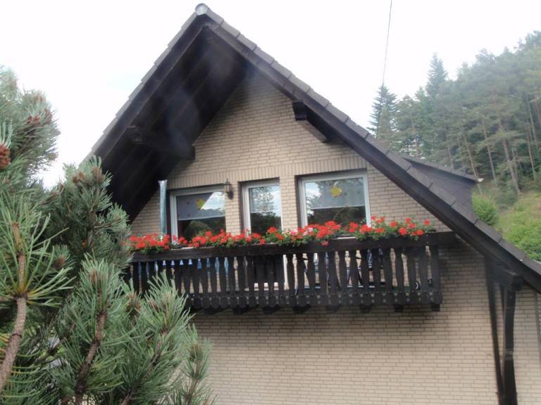 foto19
