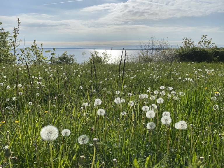Ferienwohnung Weissenhäuser Strand