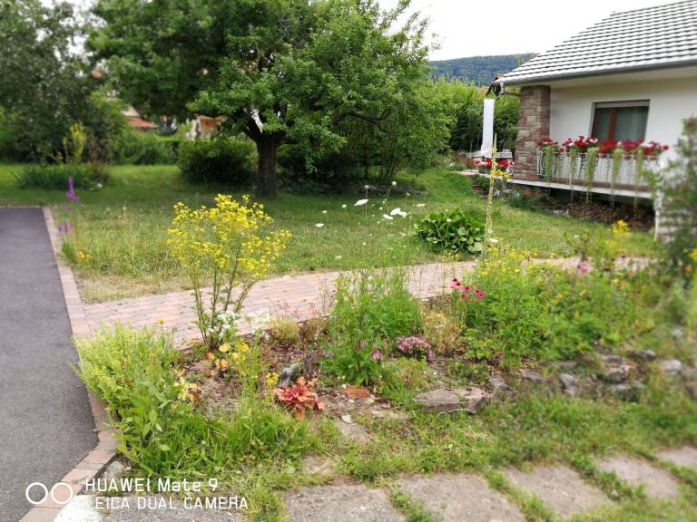 House with yard, barbeque & patio | Mountain view — photo 4
