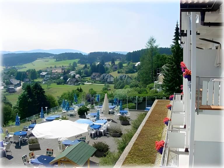 JUFA Hotel Schwarzwald — photo 5