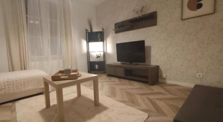 Rental apartment | Pets are welcome in Metz