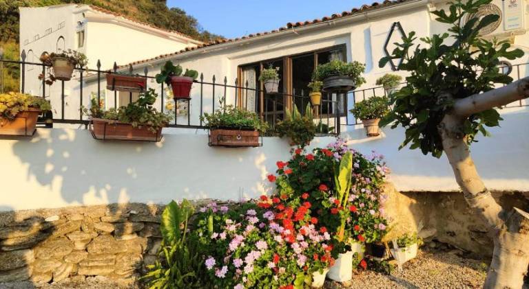 House with barbecue, yard & private pool | Dogs allowed — photo 4