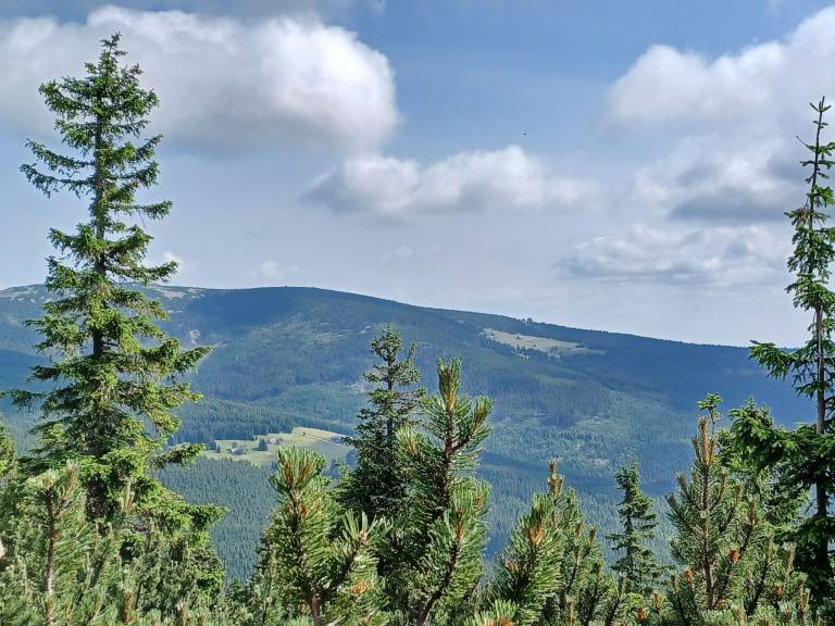 foto38