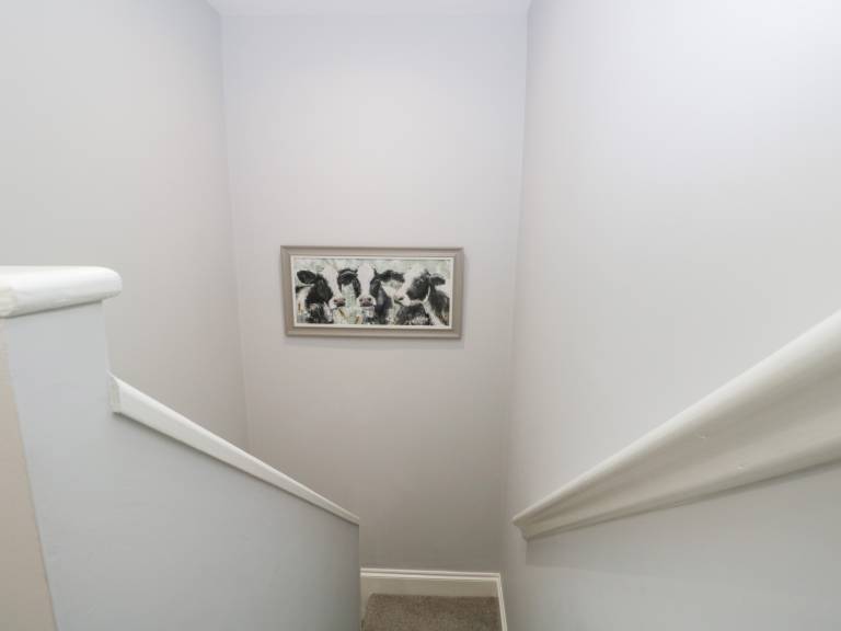 foto10