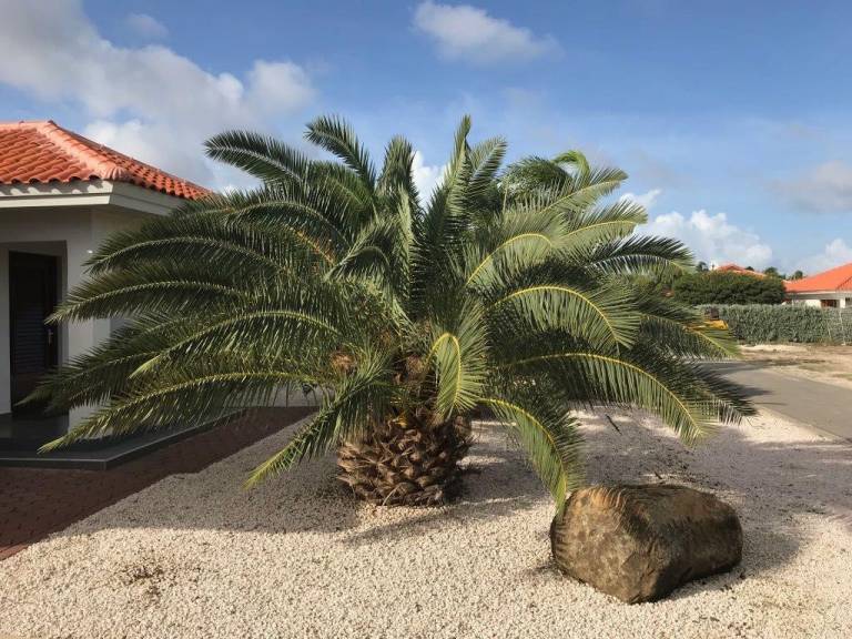 foto13