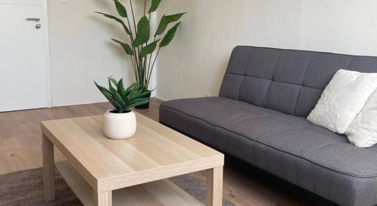 Beautiful apartment | Pet-friendly in Salzgitter