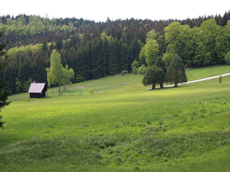 foto33