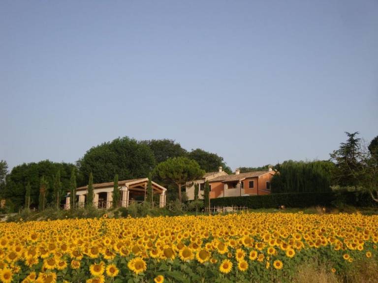 Appartamento Osimo