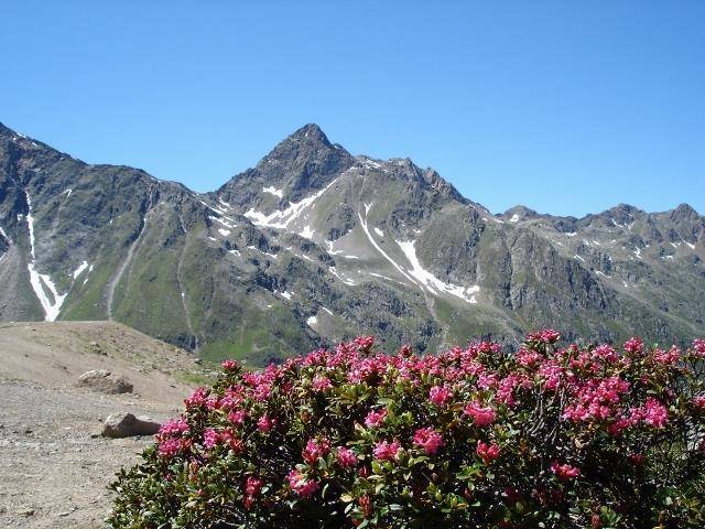 foto18