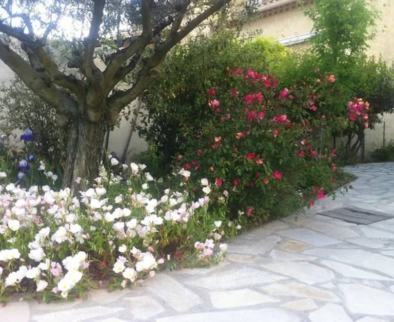 foto34