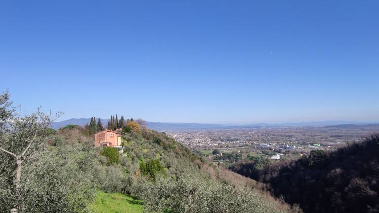 House Lucca