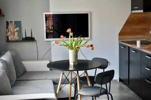 Apartment  Kosharitsa