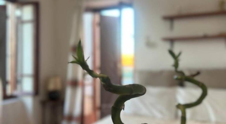 Nice house with patio & yard | Pets allowed in Xylokastro-Evrostina