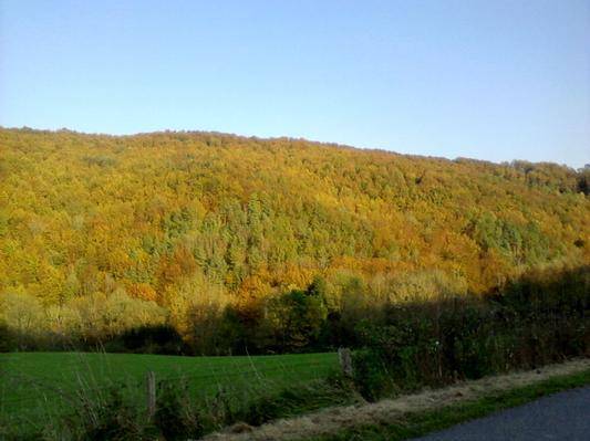 foto37