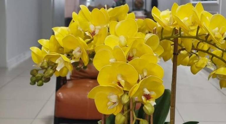 foto32