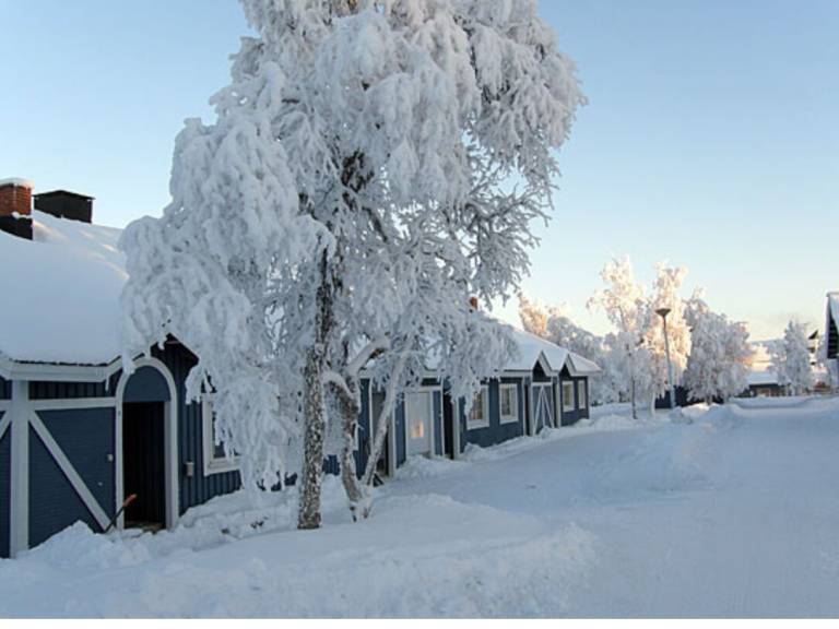 Rental apartment with sauna | Dogs allowed — photo 3