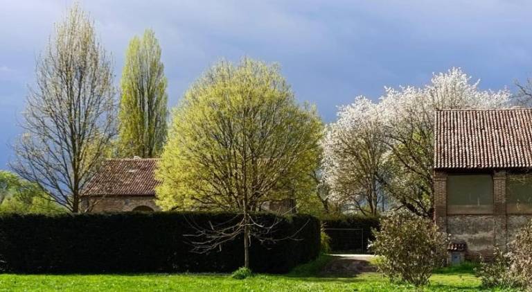 Podere Misericordia in Ferrara