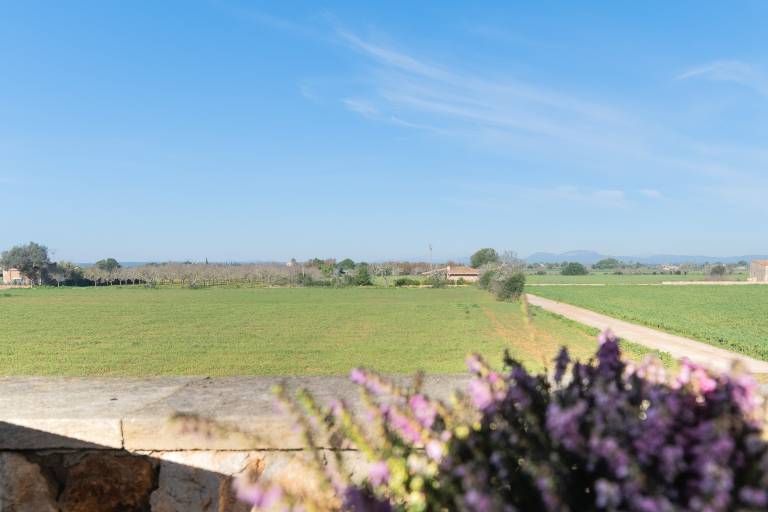 foto31