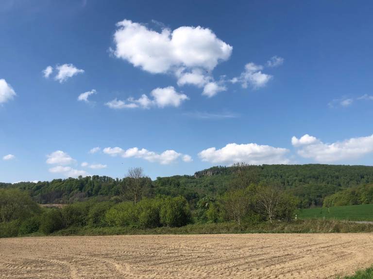 foto16