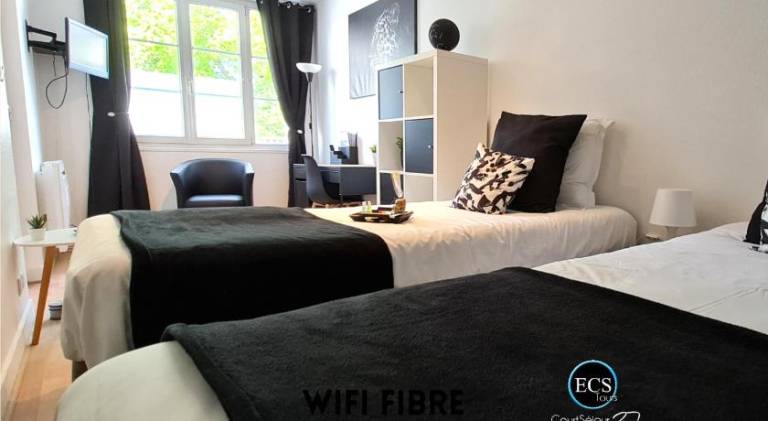 Nice rental apartment | Dogs allowed in Tours