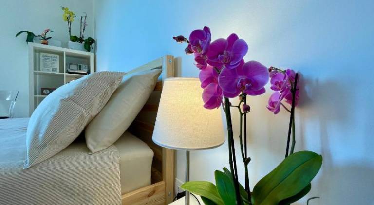 Apartment with 1 room for 2 persons in Segrate