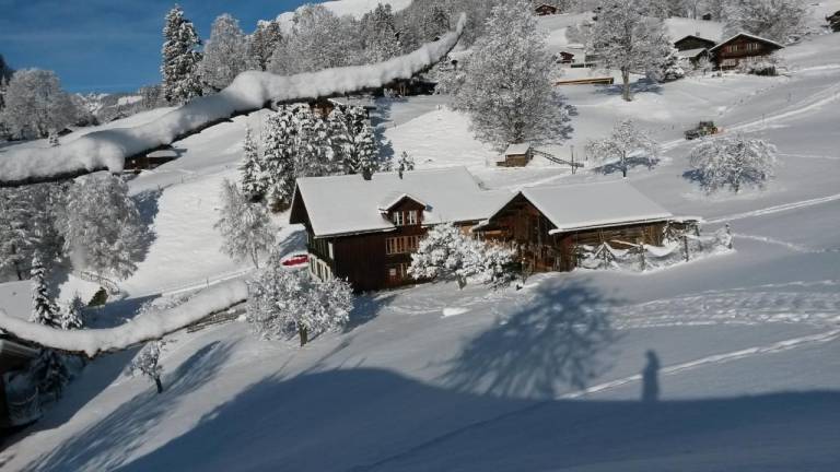 Ferienwohnung Grindelwald