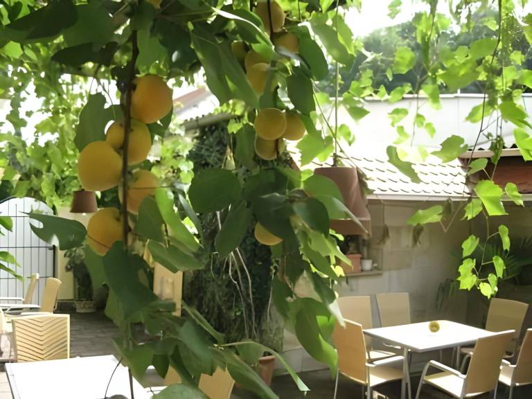 foto27