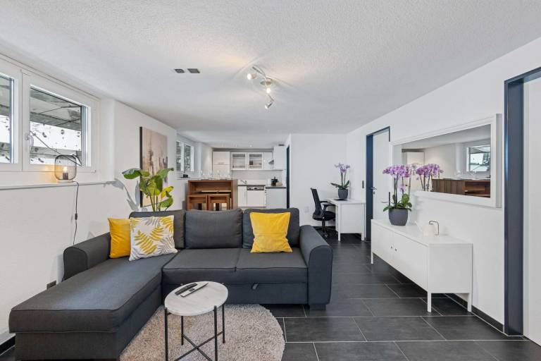Apartment  Obergösgen